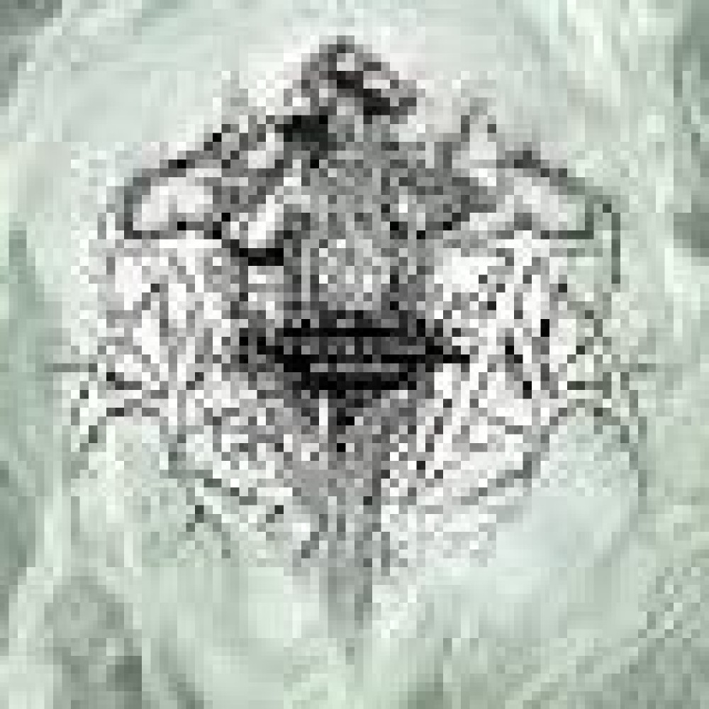 Thyrfing - De Ödeslösa